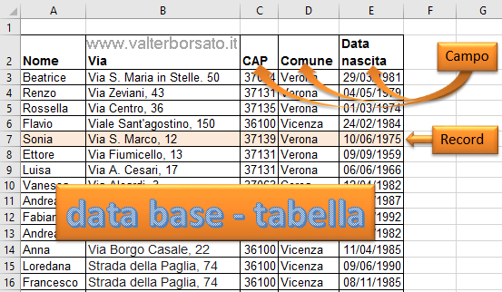 Excel  database | introduzione alle tabella e agli archivi: record - campo