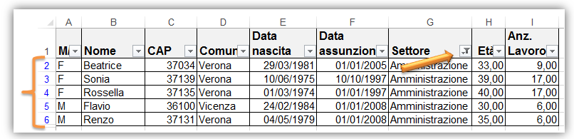 Filtri automatici Excel | Risultato filtro automatico