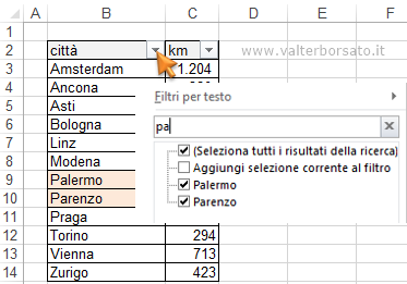 Filtri personalizzati di Excel | Utilizzare la casella di ricerca per filtrare le tabelle e gli archivi