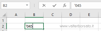 Imputare testi e numeri | Formattazioni numeriche e introduzione alle Formule e Funzioni di Excel | Formato testo