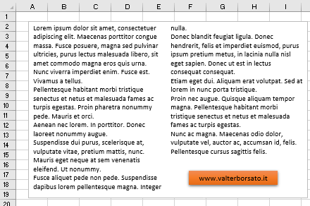 Le caselle di testo di Excel: Organizzare un testo su più colonne all'interno della casella di testo