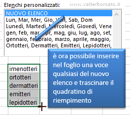 Excel elenchi | Utilizzare nuovo elenco personalizzato